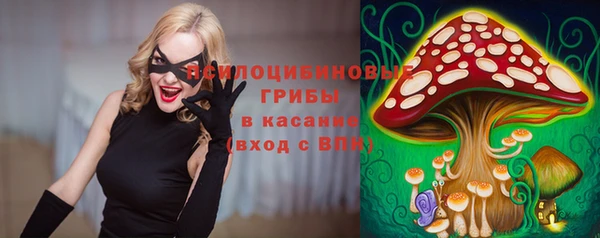 ПСИЛОЦИБИНОВЫЕ ГРИБЫ Новозыбков