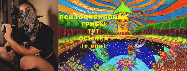 ПСИЛОЦИБИНОВЫЕ ГРИБЫ Новозыбков