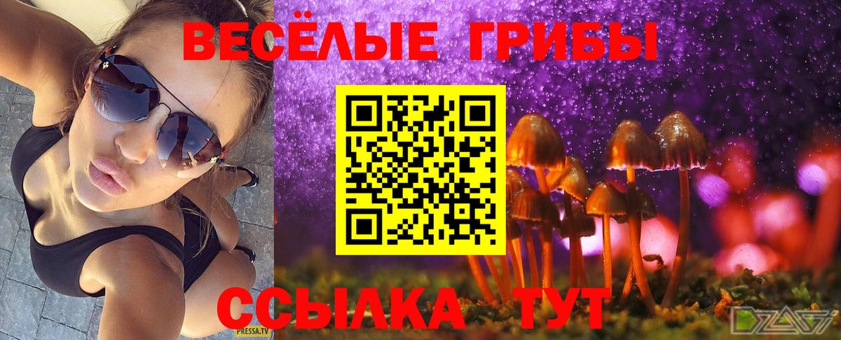 Псилоцибиновые грибы Magic Shrooms Ульяновск