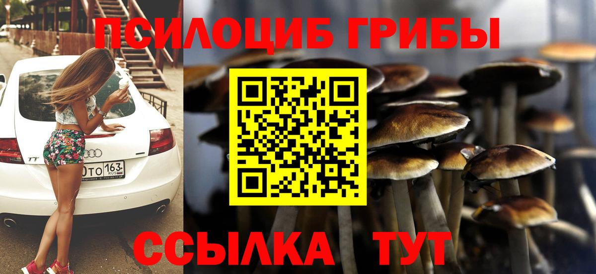 Псилоцибиновые грибы MAGIC MUSHROOMS  Ульяновск 